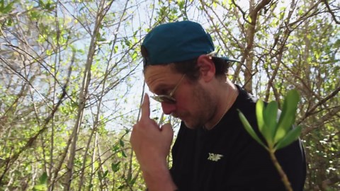 Catch-clean-cook lessons from Florida python hunts