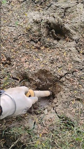 Best pinpointer metal detector #shorts #short #youtubeshorts #viral #metaldetecting #treasure