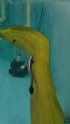 Nick Bingo on Instagram: "YouTube: Nick Bingo"