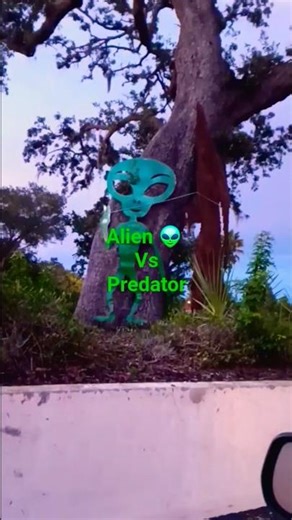 Halloween!!!!! Yard Decorations!!! Alien vs Predator Haunted House Sasquatch! Bigfoot in the woods!