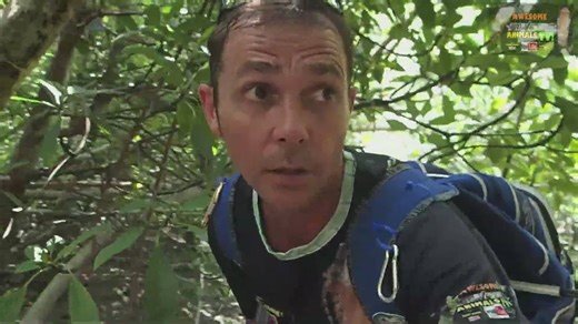 Snake vs cat | Snake city python vs cat with top 10 world's biggest snakes