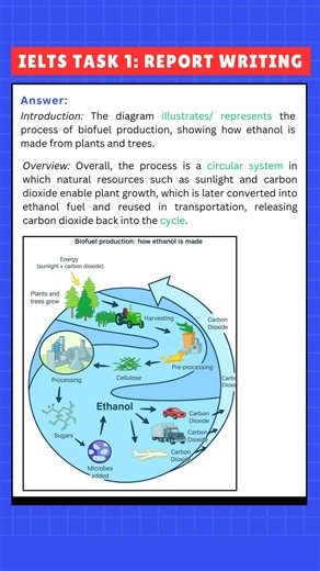 25K views · 564 reactions | Report Writing Task 1: Process Diagram Question #ielts… | General English | Facebook