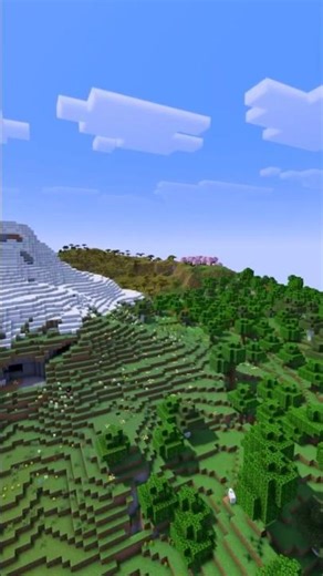 This Minecraft Seed Has Every Biome Near Spawn!