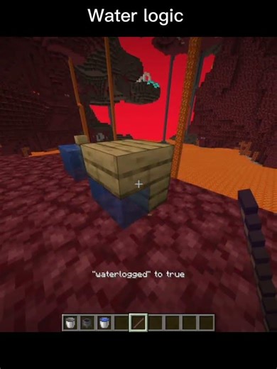 nether water logic #minecraft #funny