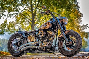 Here's What a Harley Stage 2 Upgrade Costs & Why You Should Do It - WulfMoto