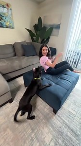 1.2K views · 897 reactions | FidoAlert is the first text based Amber Alert for pets. Our nationwide pet alert network connects you to thousands of local Pet Finders in your area to bring your lost dog home safe and sound. The best part? It's FREE. (No credit card required). Get yours today https://www.fidoalert.com | FidoAlert | Facebook