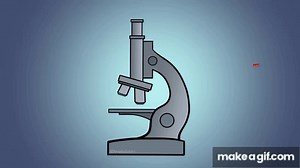 Microscopes and How to Use a Light Microscope on Make a GIF