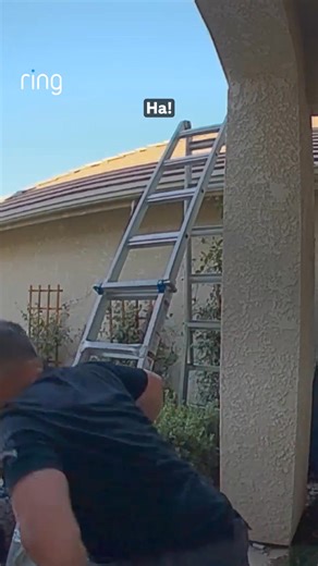 20K views · 100 reactions | This might be the biggest spider ever caught on camera. ️  What Halloween pranks are you pulling this year? | Ring | Facebook