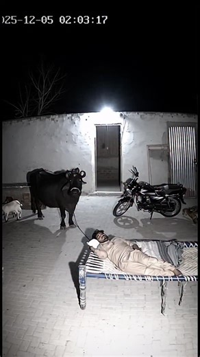 Shawn Arranha on Instagram: "💀THE CURSE OF Border Village 👿 Somewhere in a remote village along the India-Pakistan border, silence is usually a sign of safety. But on December 5th, the silence broke in a way science can’t explain. Old-timers in the village speak of “The Fold”—a rift where the physical world and the void collide. They say when the moon reaches its peak, the ground forgets how to hold weight, and the air turns into a hungry static. In this leaked security footage, a local man is
