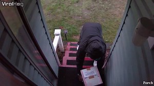 73K views · 566 reactions | Don't steal my packages | ViralHog | Facebook