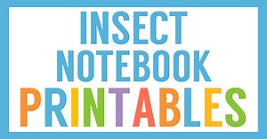 Free Insects Worksheets - Homeschool Share