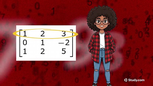 Finding the Inverse of a 3x3 Matrix | Overview & Formula