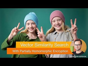 Vector Similarity Search with Partially Homomorphic Encryption in Python