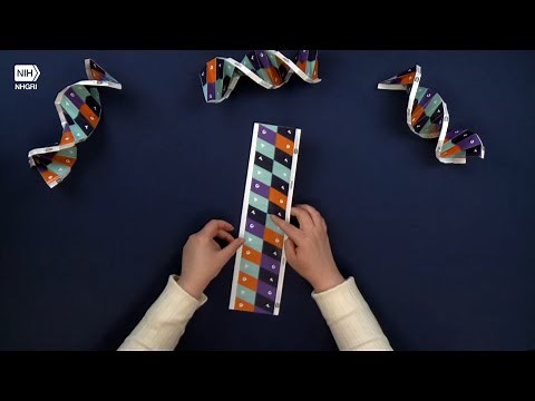 DNA Origami