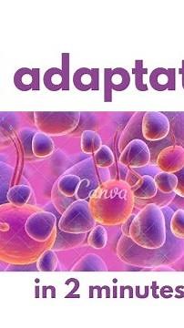 Cellular adaptation in under 2 mins!