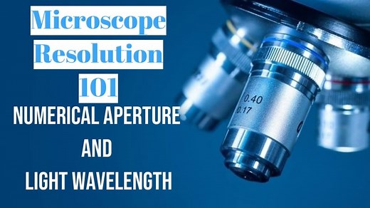 Microscope Resolution 101: The Numerical Aperture and Light Wavelength