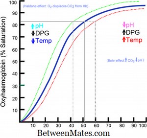 Différence entre PAO2 et SAO2 | PAO2 vs SAO2 - Science et Nature 2026