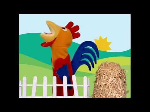 Baby Einstein SFX: Rooster