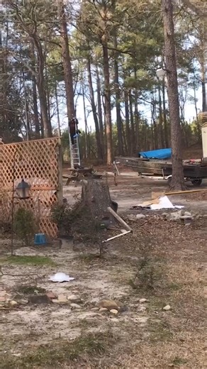 91K views · 811 reactions | I feel like you're just here for the zipline  #afv #fail #funnyvideos | America's Funniest Home Videos | Facebook