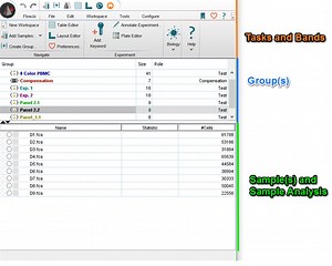 The FlowJo Workspace - FlowJo Documentation