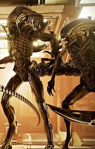 @ AlexValdez1992 on Instagram: "Awesome Alien movie size video by FilmCore at YouTube! Music by Nells Alien 1979 Theme Cover Aliens Theme Cover #Alien #Aliens #alienresurection #alienvspredator #alienvspredatorrequiem #AVP #AVPR #prometheus #aliencovenant #alien40th #alien40thanniversary #alienqueen #xenomorph #xenomorphqueen #predalien #xeno #deacon #neomorph #protomorph"