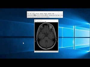 ImageJ/Fiji Tutorial : Creating Montage from Stack Tiff