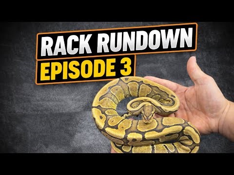 This Week’s Pick | Rack Rundown – Episode 3
