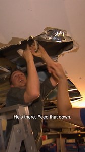 Dr Chris wrangling HUGE 22-feet-long Python! | Bondi Vet