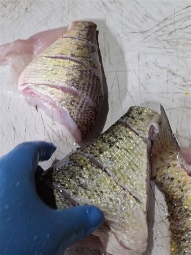 I provide the total package catching, cleaning, and cooking. | catch clean and cook