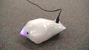 Lacoochee Elementary School partnered with the Hugh Embry Public Library in Dade City to teach students how to program finch robots in a fun and collaborative environment. | Pasco County Schools