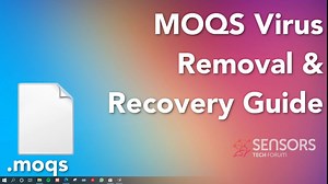 MOQSウイルスファイルの削除