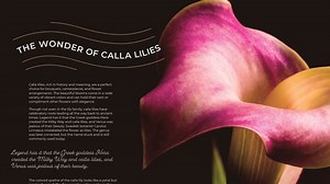 InDesign 2023 Essential Training Online Class | LinkedIn Learning, formerly Lynda.com