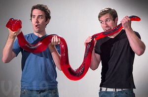 A 26-Pound Edible Gummy Party Python