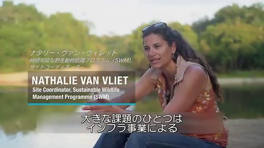 2030アジェンダ | 国連広報センター