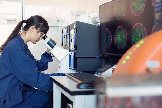 Biomedical Engineering | UBC Undergraduate Programs and Admissions