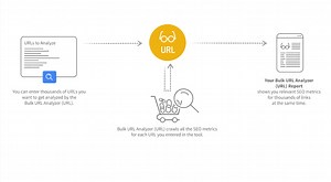 Bulk URL Analyzer (URL)