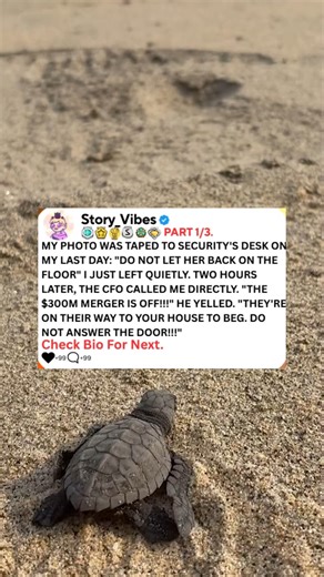 116K views · 2K reactions | My photo was taped to security's desk on my last day, do not let her back on the floor, I just left quietly, two hours later, the CFO called me directly. The $300 million merger is off, he yelled. .-#reddit #askreddit #redditposts #redditstorytime #reels #aïta #aita | Horror-Stories | Facebook