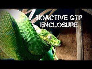 HOW TO BUILD A BIOACTIVE EXO TERRA GREEN TREE PYTHON ENCLOSURE!