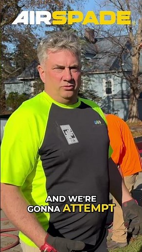 Bare Root Transplant: Red Maple Tree in November #shorts