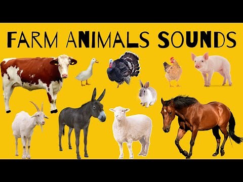 Farm Animal Sounds