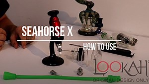 Use Seahorse X | Lookah