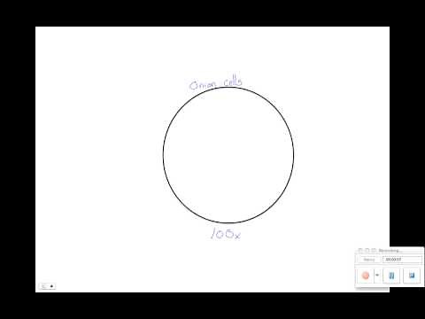 Drawing with a microscope