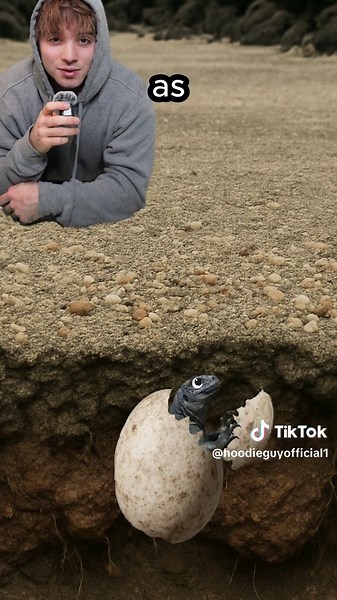 Exploring Animals with Unique Spawn Points